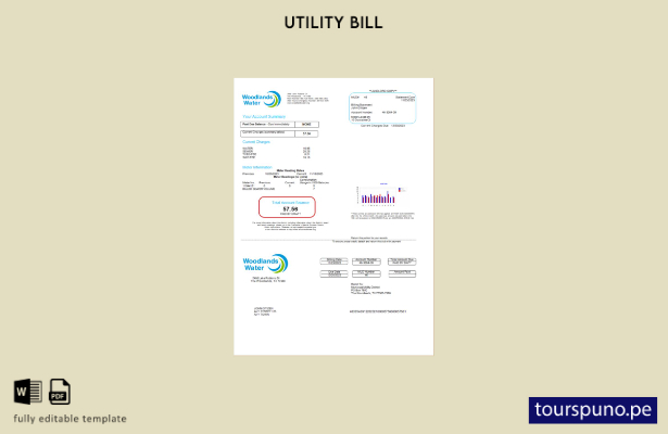 listo para imprimir plantilla de word   factura de servicios públicos de Woodlan